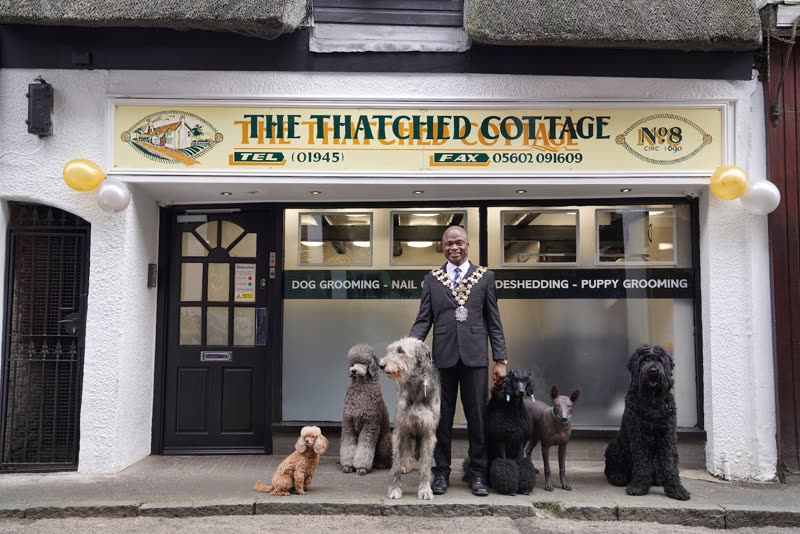 The shopfront of The Thatched Cottage on Norfolk Street, with dogs waiting on leads outside the door